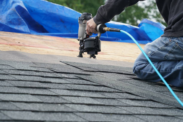 Best Roof Insulation Installation  in Kaumakani, HI
